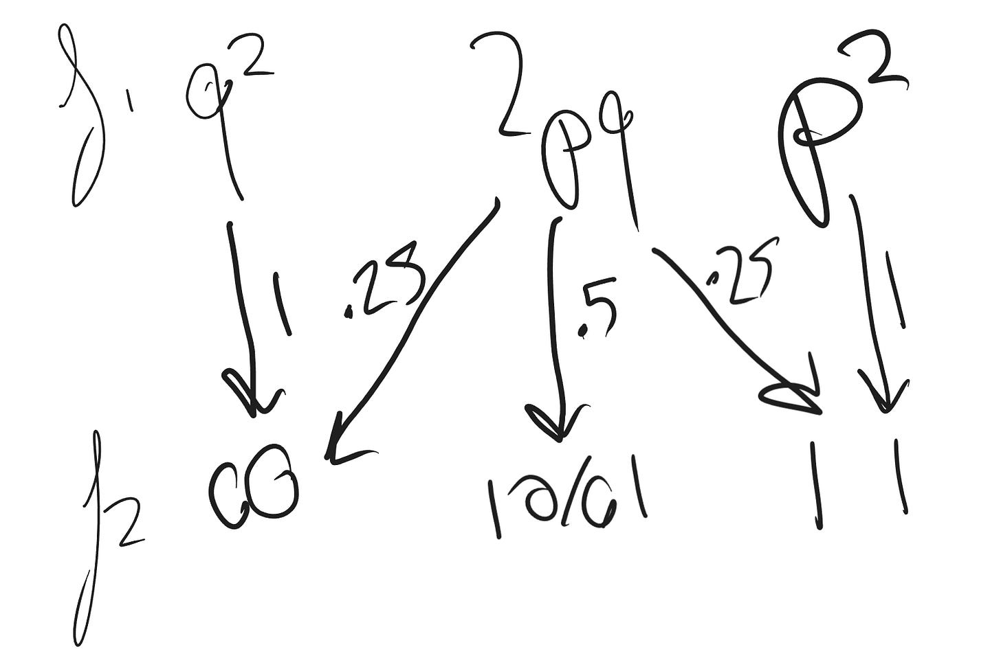 How genetically similar are siblings compared to their peers?